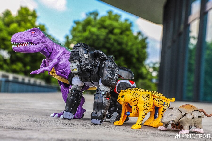 Transfrormers Beast Wars Reissues Vs Kingdom Beast Wars  (8 of 11)